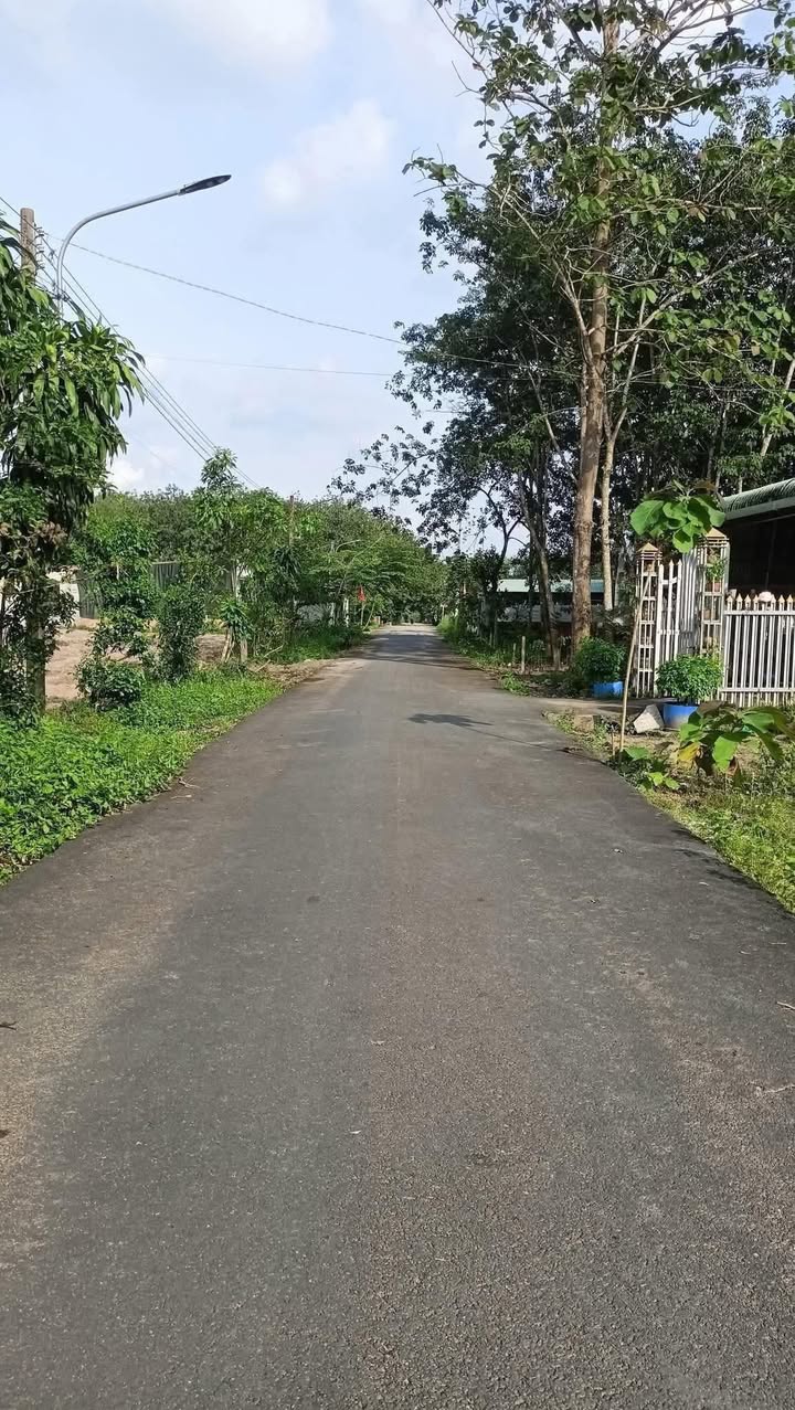 Đất nền Hẻm 124 Thị Trấn Phước Vĩnh 459m² giá chỉ 850 triệu - Vị trí đẹp, dân cư đông đúc!