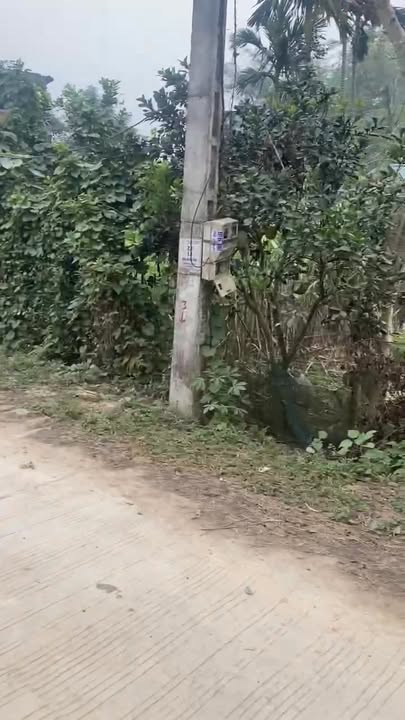 Đất thổ cư Lạc Hưng, Yên Thủy 2.000m² giá 3 tỷ - Tiềm năng sinh lời cao!