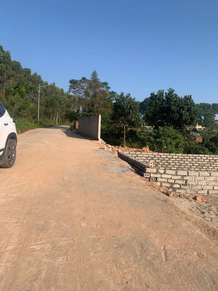 Đất nền Tân An Bắc Giang 100m² giá chỉ 1 tỷ - Vị trí đắc địa!