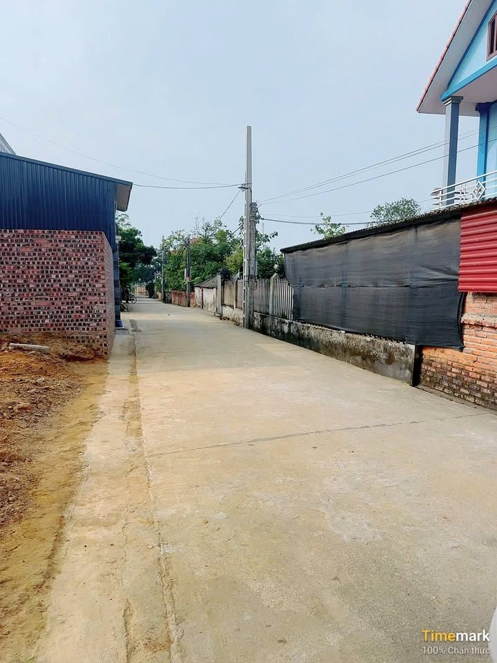 Đất nền TDP Núi, Phường Tân An, 115m² giá chỉ 900 triệu - Cơ hội đầu tư hấp dẫn!