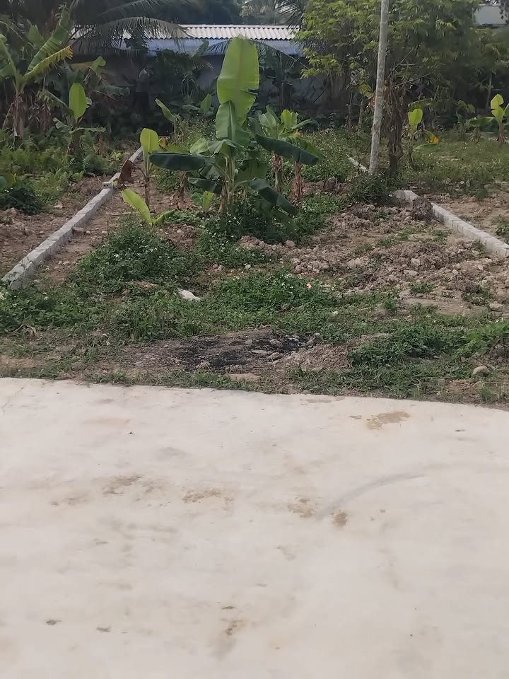 Đất thổ cư Quảng Hợp 130m² giá chỉ 300 triệu - Cơ hội đầu tư tuyệt vời!