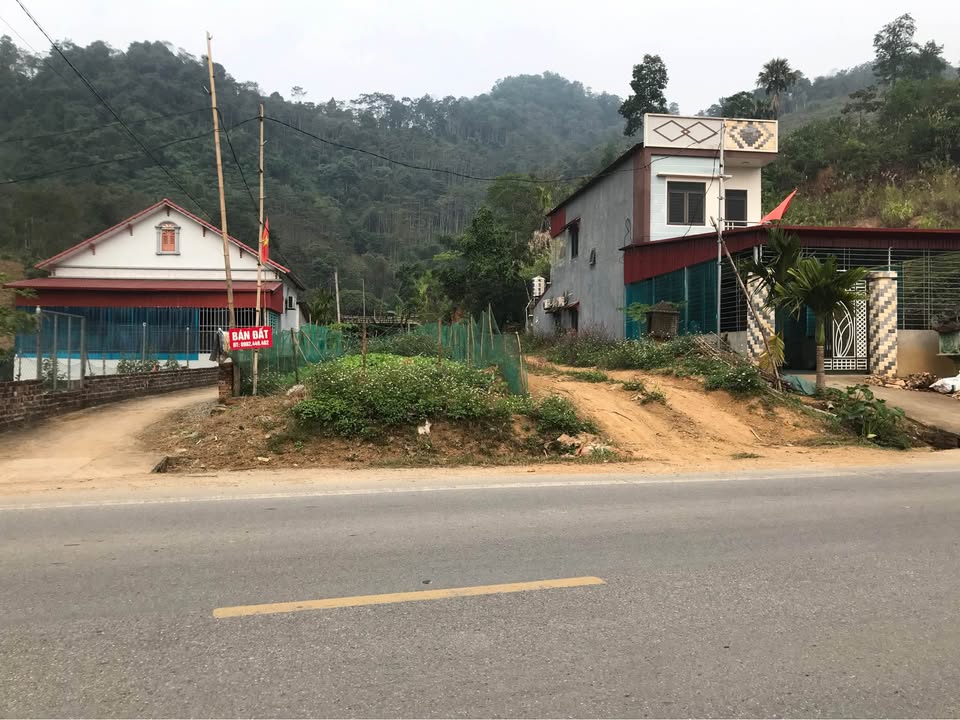 Đất nền đẹp tại trung tâm thị trấn Tân Phú, Phú Thọ - Diện tích 2300m², phong thủy tốt!