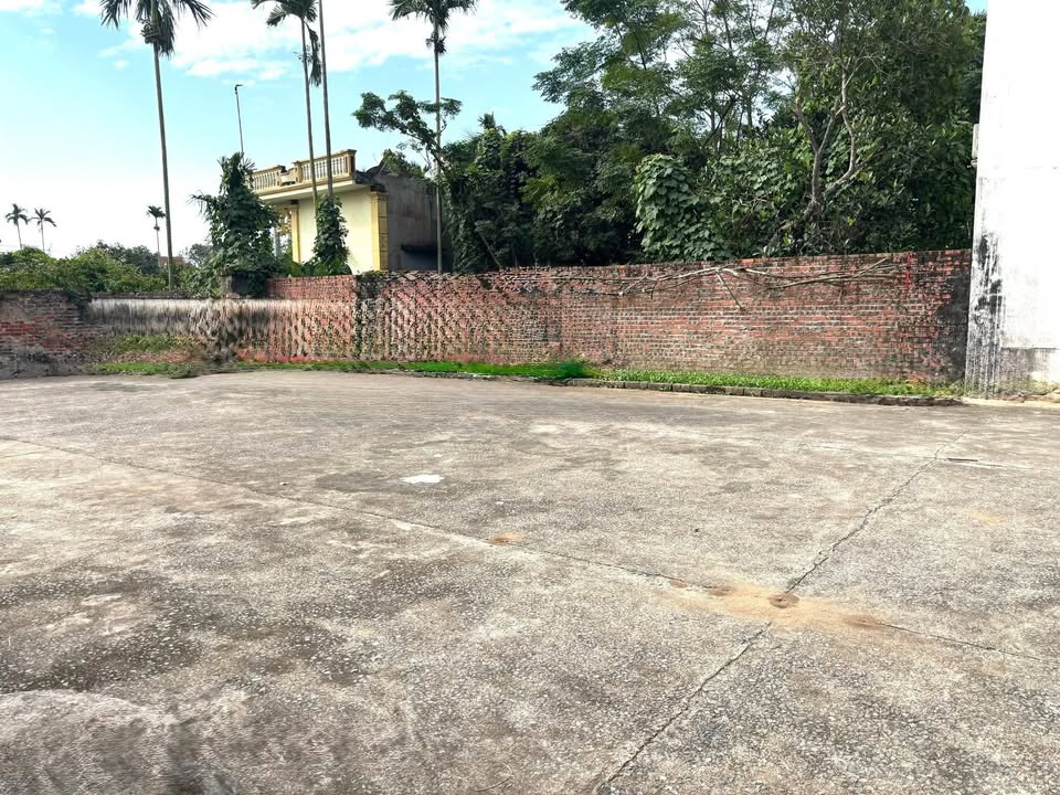 Đất Vĩnh Hải, Hải Phòng 85m² giá 600 triệu - Tiềm năng đầu tư cao!