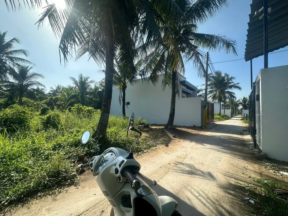 Đất nền Phú Tân Bến Tre 100m² giá 650 triệu - Sổ hồng chính chủ, ô tô vào tận nơi!