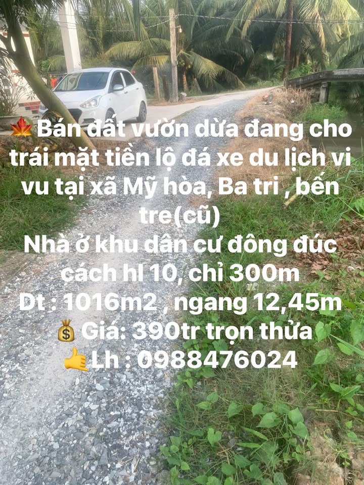 Đất vườn dừa xã Mỹ Hòa, Ba Tri, Bến Tre 1016m² giá 390 triệu - Tiềm năng đầu tư hấp dẫn!