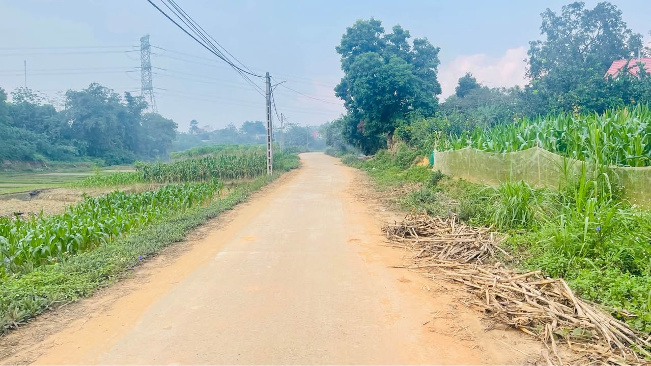 Đất nền khu phố 6, phường Trung Giáp, 863m² giá 2 tỷ - Đầu tư sinh lời ngay!