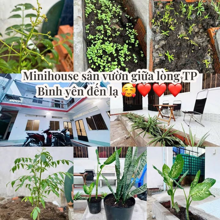 Cho thuê MINI HOUSE đường Mạc Thiên Tích 2.7 triệu - Chỉ việc vào ở ngay!