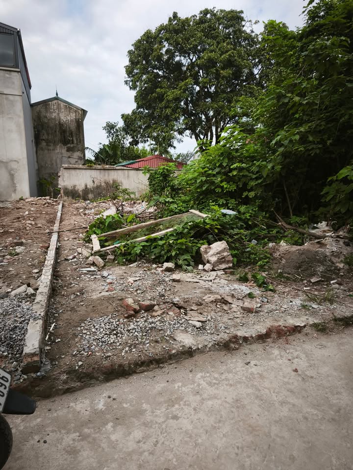 Đất nền Đại Áng Thanh Trì 70m² giá 4 tỷ - Đầu tư sinh lời hợp lý!