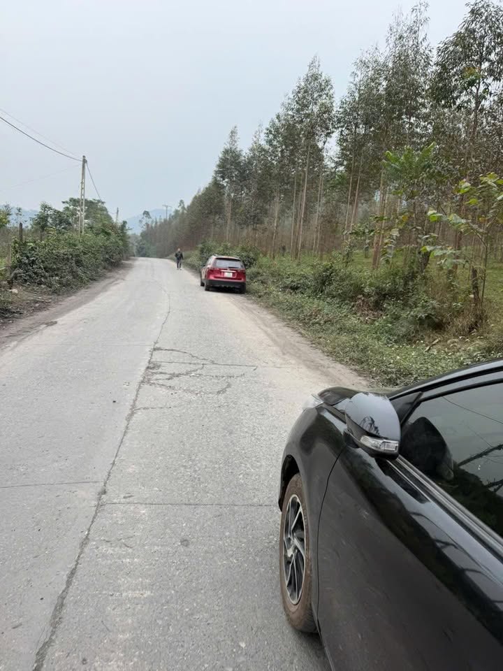 Đất nông nghiệp Lục Sơn Lục Nam 5000m² giá 2 tỷ - Đường tỉnh 80m thuận tiện