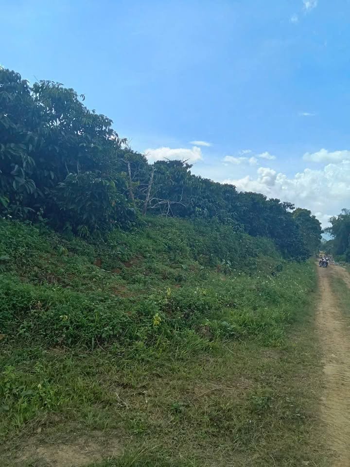 Đất nền Đam Rông 2, Lâm Đồng 2,8ha giá 5,5 tỷ - Cơ hội đầu tư hấp dẫn!