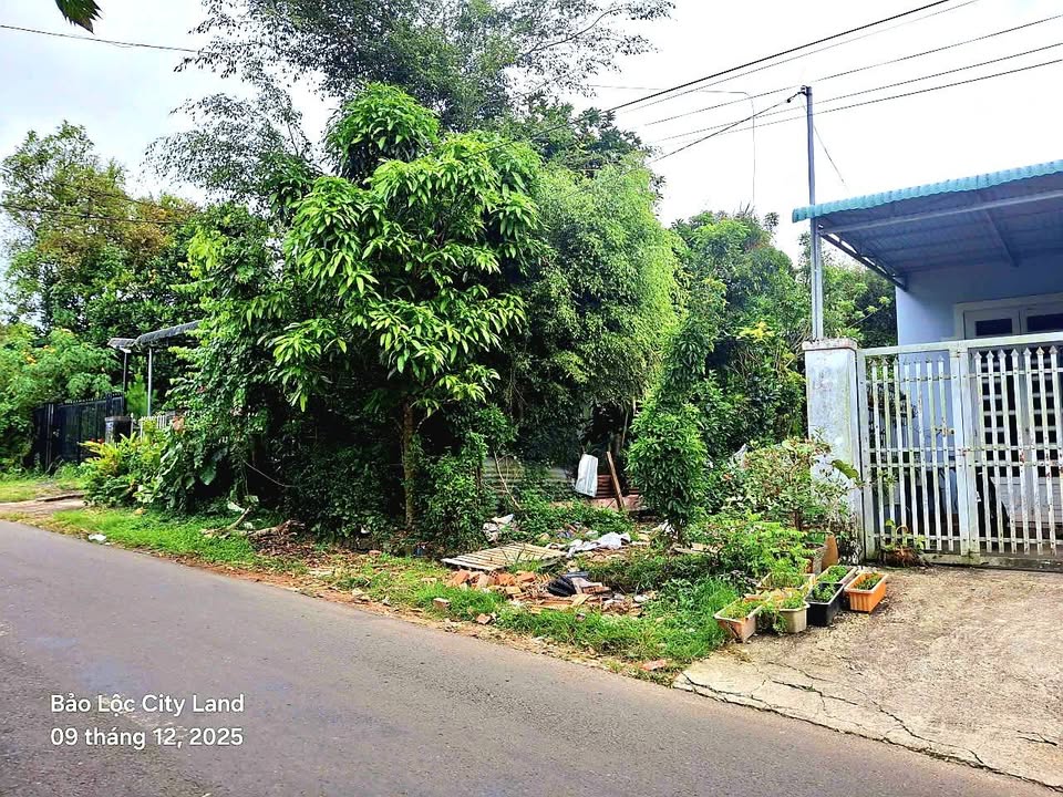 Đất thổ cư Mạc Đĩnh Chi, Bảo Lộc 140m² giá 2 tỷ - Vị trí đắc địa gần trung tâm!