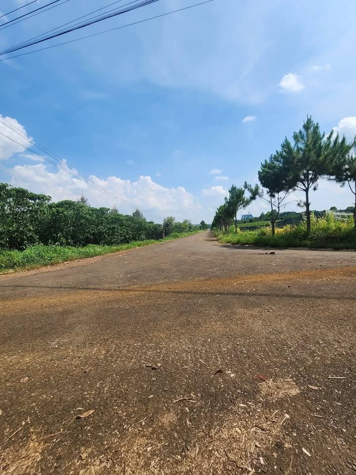 Đất nền Lộc Thắng Bảo Lâm 1162m² giá 86.625 tỷ - Cơ hội đầu tư hấp dẫn!