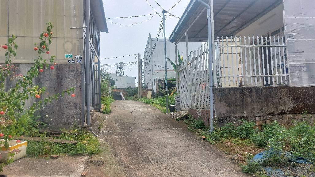 Nhà hẻm Bế Văn Đàn Phường B'Lao Bảo Lộc 100m² giá 2.95 tỷ - Nhà mới vào ở ngay!