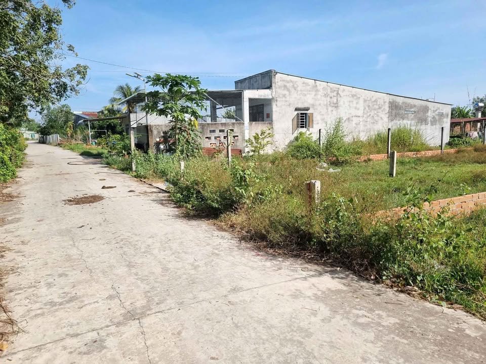 Đất nền thổ cư 250m² xã Phước Thạnh, Tây Ninh chỉ 500 triệu - Đầu tư sinh lời ngay!