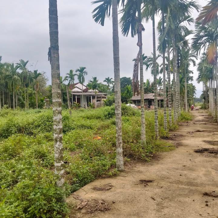 Đất nền Nghĩa Kỳ, Tư Nghĩa, Quảng Ngãi 125m² - Đầu tư sinh lời hấp dẫn!