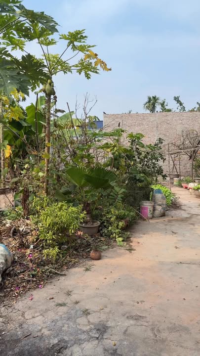 Đất thổ cư Hòa Mạc Duy Tiên 67m² giá 1 tỷ - Vị trí đẹp, giao thông thuận lợi!