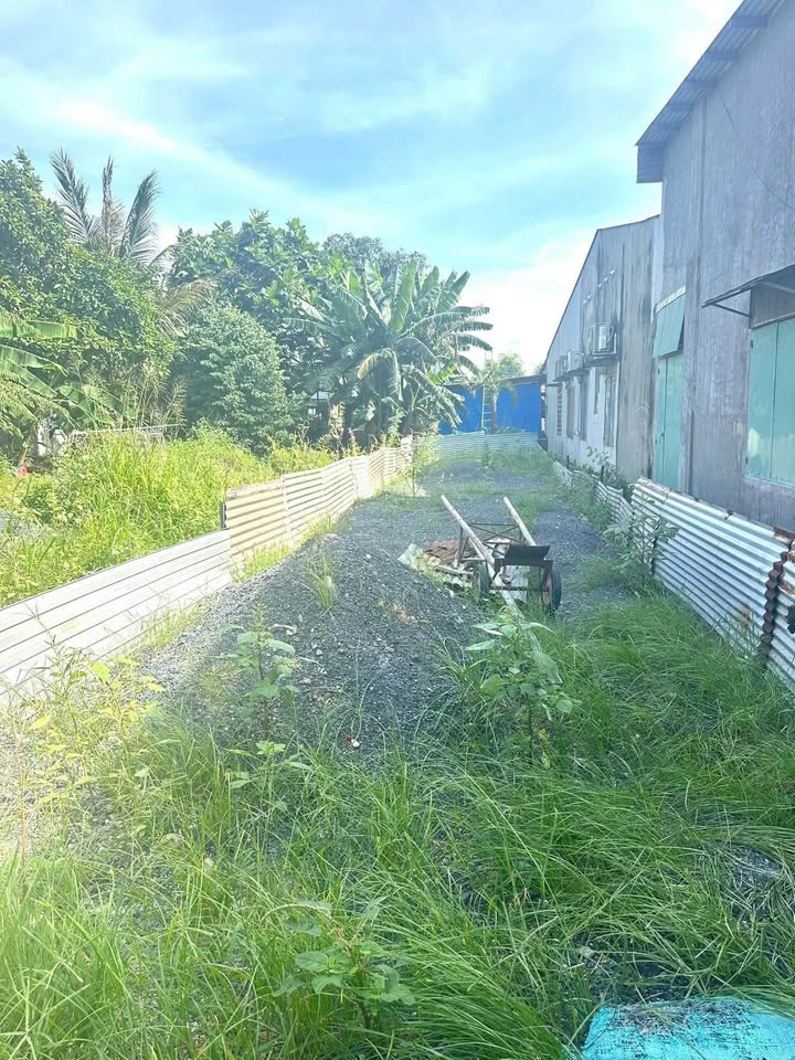 Lô đất mặt tiền đường nhựa 100m² tại Long Bình, Biên Hòa - Đầu tư sinh lời lý tưởng!