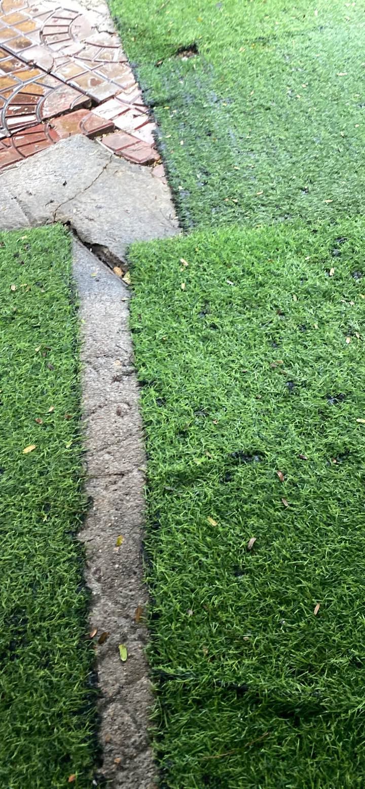 Nhà cho thuê mặt tiền Trần Văn Ơn 110m² giá 25 triệu - Kinh doanh thuận lợi!