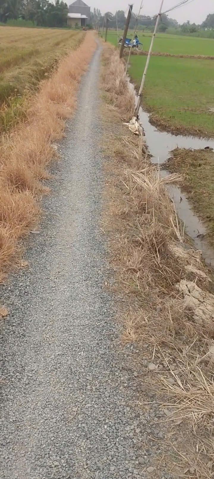 Đất nền Gia Thuận, Gò Công Đông 1800m² giá 550 triệu - Đầu tư sinh lời ngay!