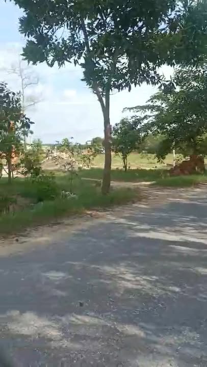 Đất thổ cư Tân Phong, Tân Biên 200m² giá 500 triệu - Nhanh tay sở hữu!