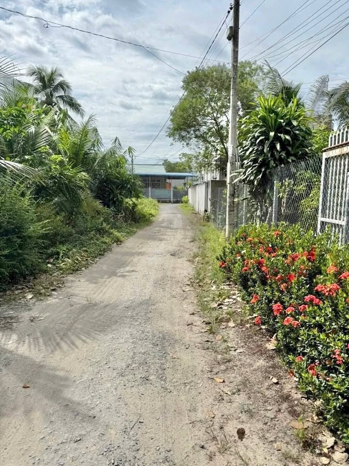 Đất nền khu phố Thanh Hoà, phường Thanh Điền, 140m² - Giá chỉ 67 triệu/m², cơ hội đầu tư hấp dẫn!