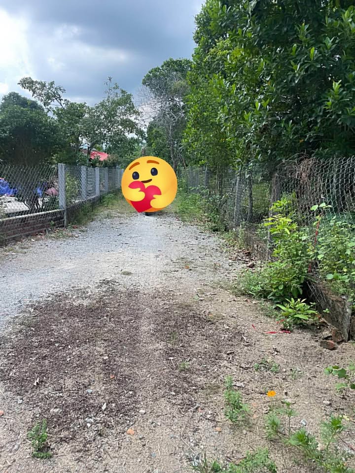 Bán lô đất vườn Hòa Phong, Hòa Vang 453m² - Giá chỉ 1 tỷ VND!