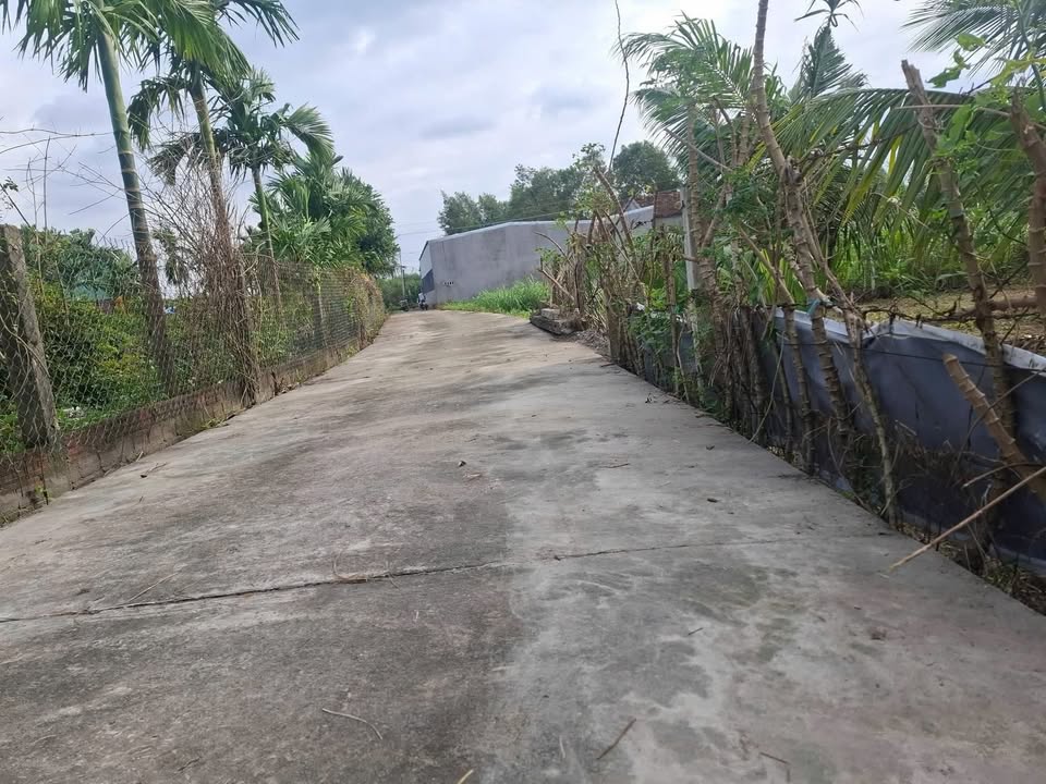 Đất nền liền kề Tịnh Phong 130m² giá 500 triệu - Sổ hồng chính chủ, đầu tư sinh lời!