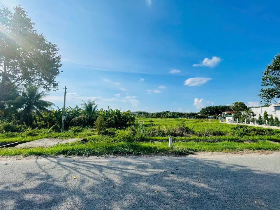 Đất nền Củ Chi 4247m² giá 7.2 tỷ - Mặt tiền đường nhựa Kênh N38