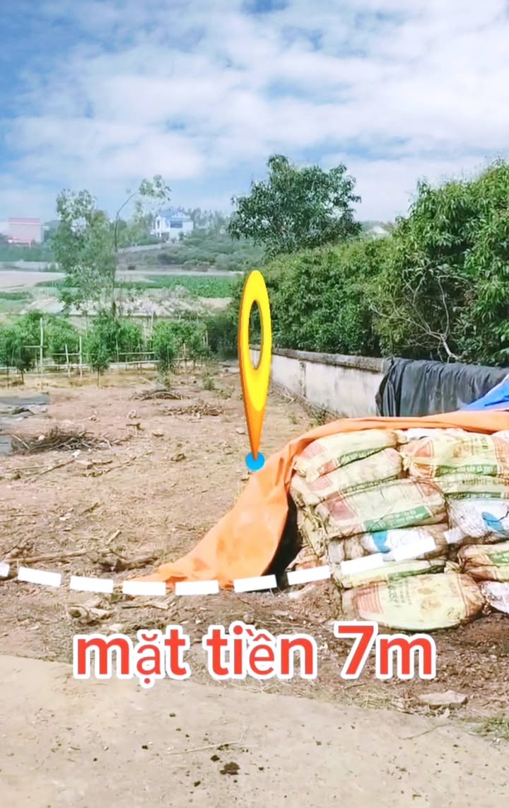 Đất nền xã Tam Dị, huyện Lục Nam 220m² giá thỏa thuận - Cơ hội đầu tư hấp dẫn!