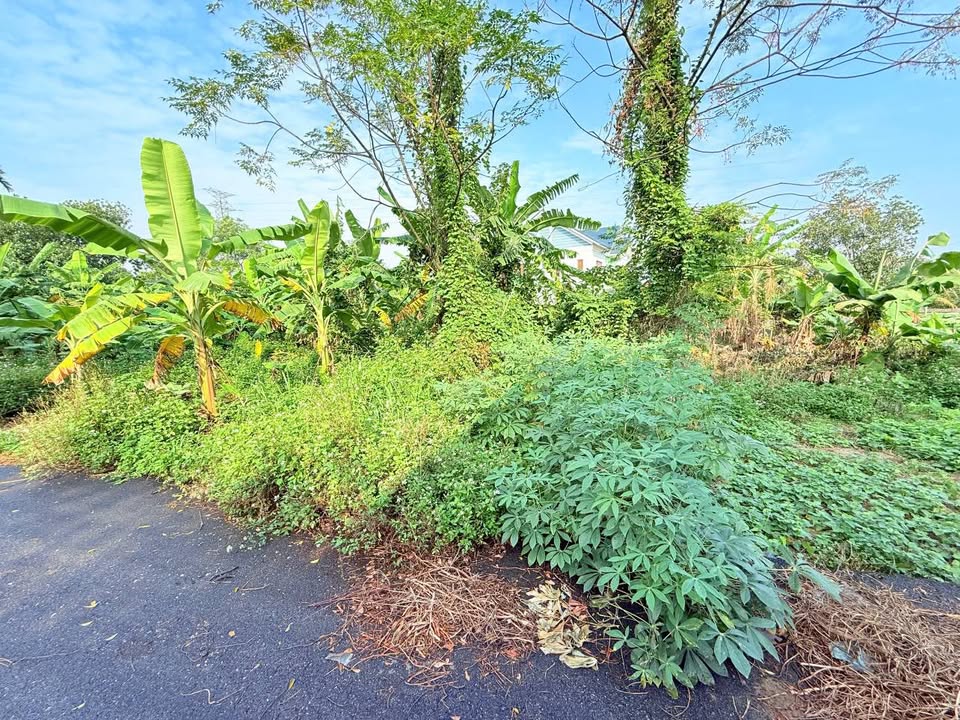 Đất tài chính công nhân Hương Sơn 100m² giá 1.1 tỷ - Vị trí đẹp, thuận tiện!