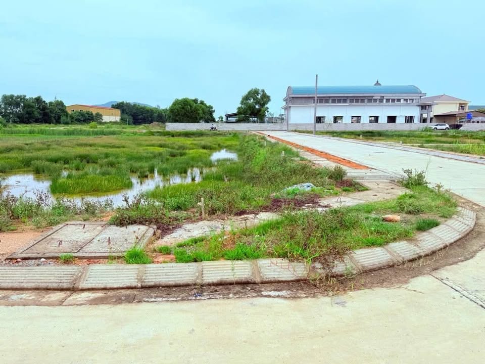 Đất nền Hộ Độ, Lộc Hà 198m² giá chỉ 2 tỷ - Đường 10m thông thoáng!