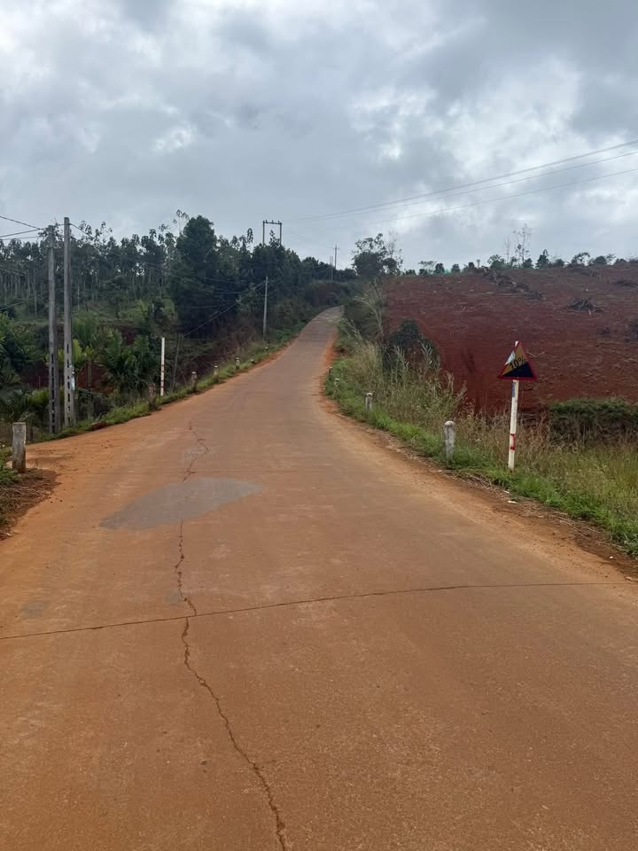 Đất nền Nâm N'Jang Đắk Song 10.000m² giá chỉ 1.35 tỷ - Đầu tư sinh lời ngay!