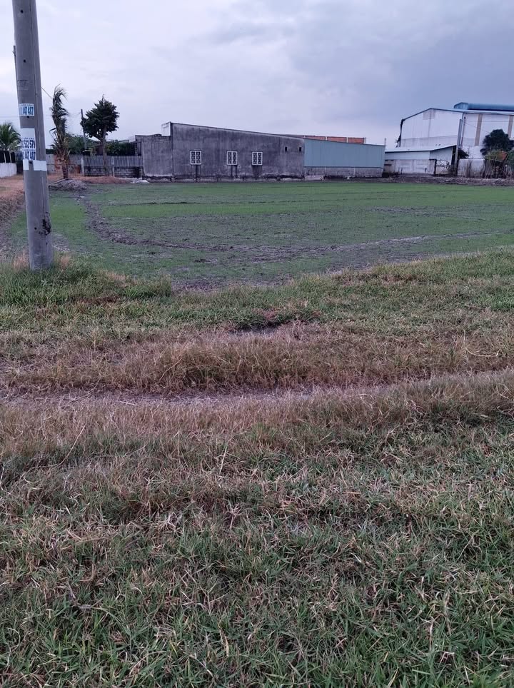 Đất thổ cư 360m² xã Mỹ Hạnh - Giá chỉ 950 triệu, cơ hội đầu tư sinh lời!