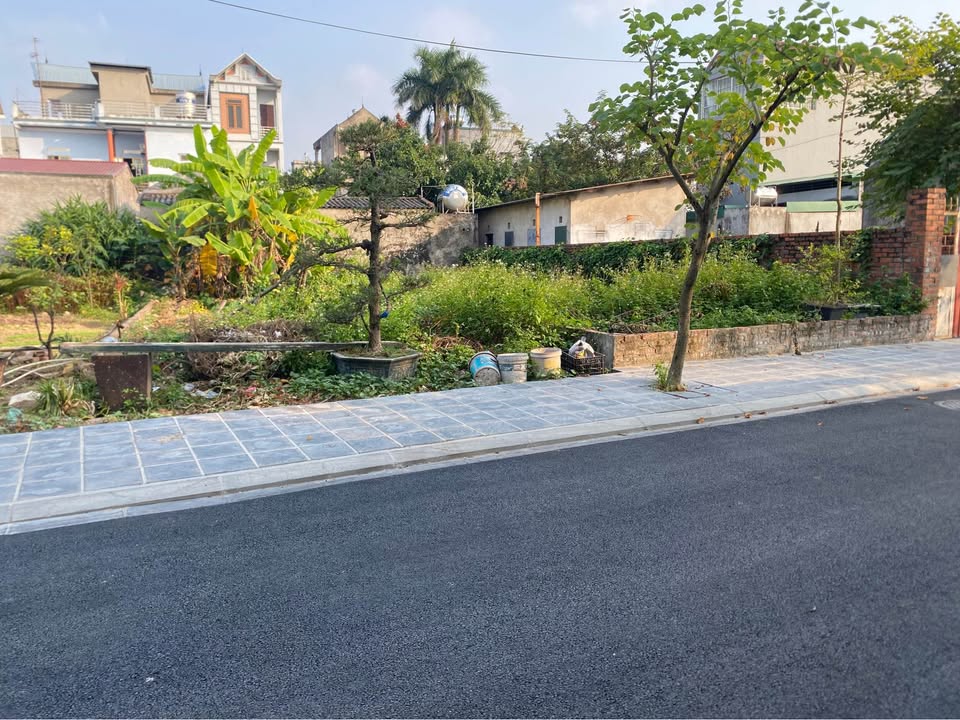 Đất Vân Nội 90m² giá chỉ 600 triệu - Tiềm năng đầu tư cao!