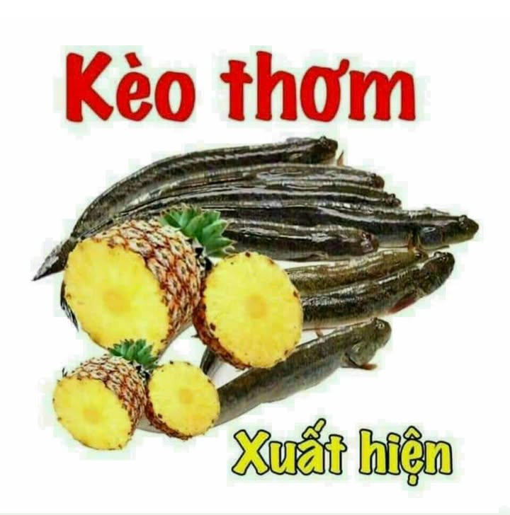 Đất nền Trục Chính Mương Gò Dài, Tam Nghĩa, Núi Thành 200m² - Giá tốt nhất khu vực!