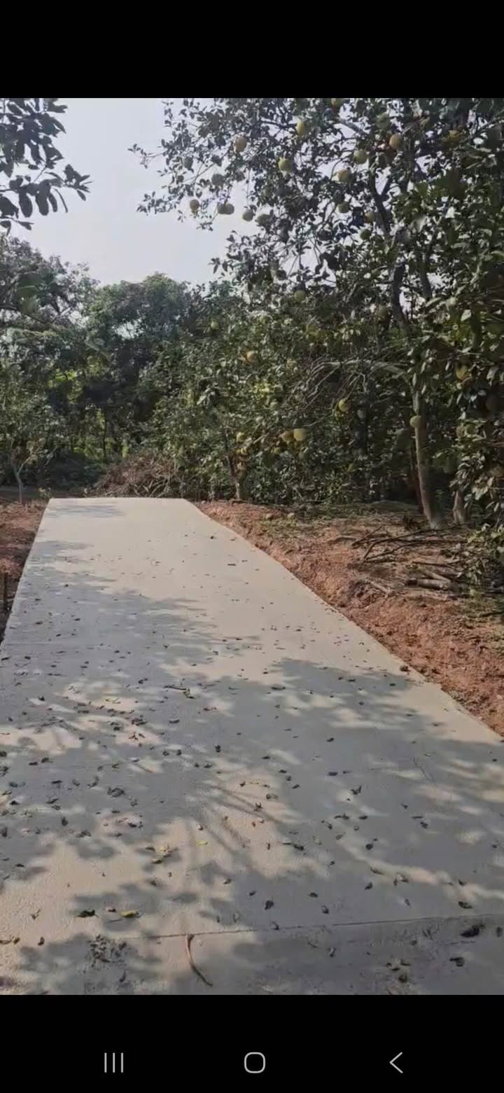 Đất thổ cư Bồ Đề, Bình Lục 116m² giá chỉ 300 triệu - Cơ hội đầu tư tuyệt vời!