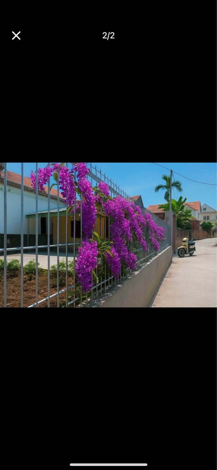 Nhà vườn đẹp Tân Việt, Thanh Hà, Hải Dương 200m² giá 1 tỷ - Cơ hội vàng cho đầu tư!