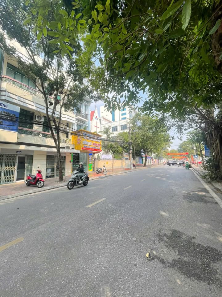 Nhà mặt phố Đại lộ Hồ Chí Minh, Hải Dương 60m² - Kinh doanh sầm uất!