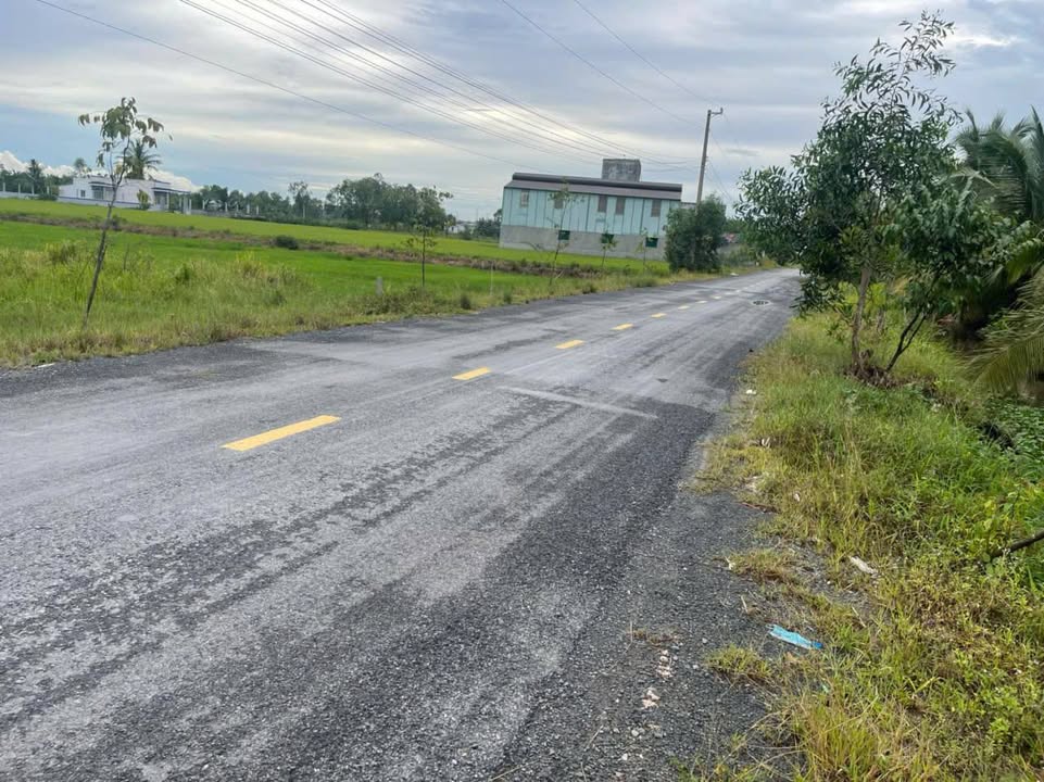 Đất mặt tiền đường Số 4, xã Hòa Khánh Đông, 175m² giá chỉ 1,4 tỷ - Cơ hội đầu tư hấp dẫn!