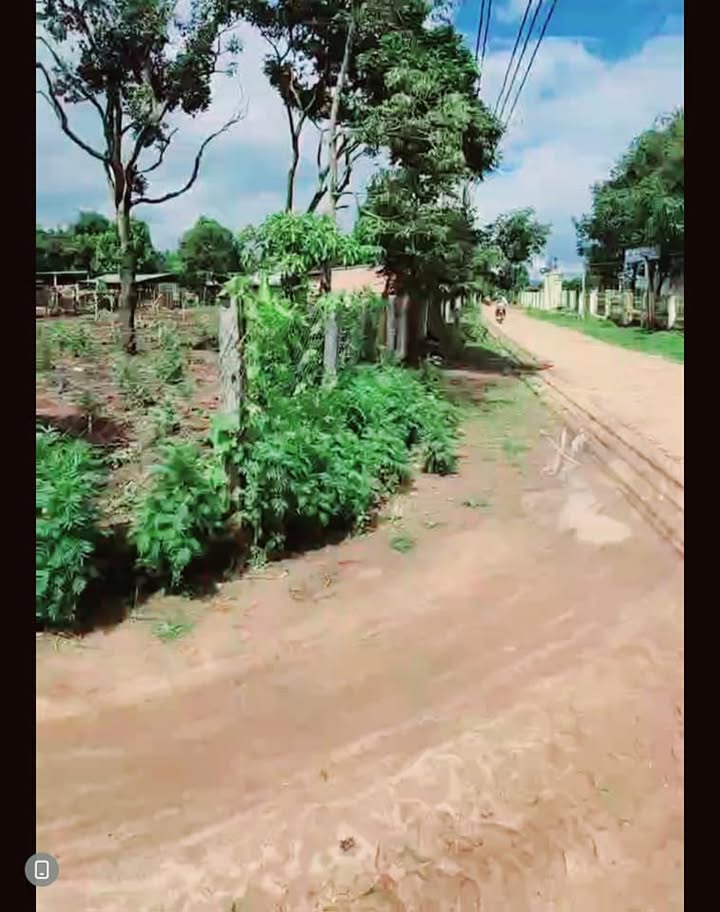 Đất xã Đăk Yă, huyện Mang Yang 3000m² - Giá chỉ 450 triệu, đầu tư sinh lời!