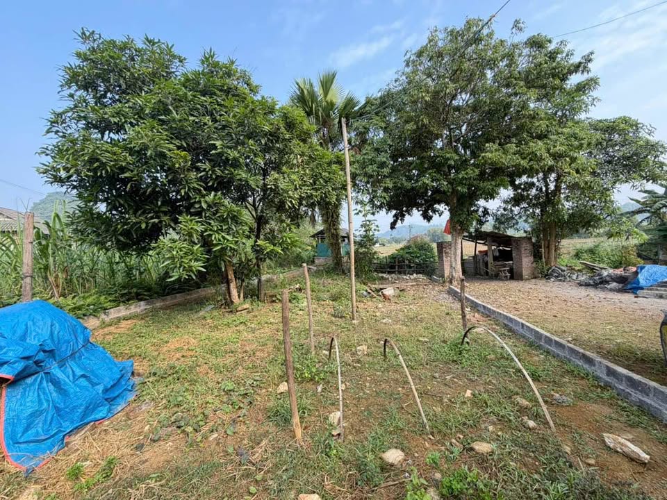 Đất nền xã Nhân Mỹ, Tân Lạc 390m² giá chỉ 200 triệu - Địa thế đẹp, đầu tư sinh lời!