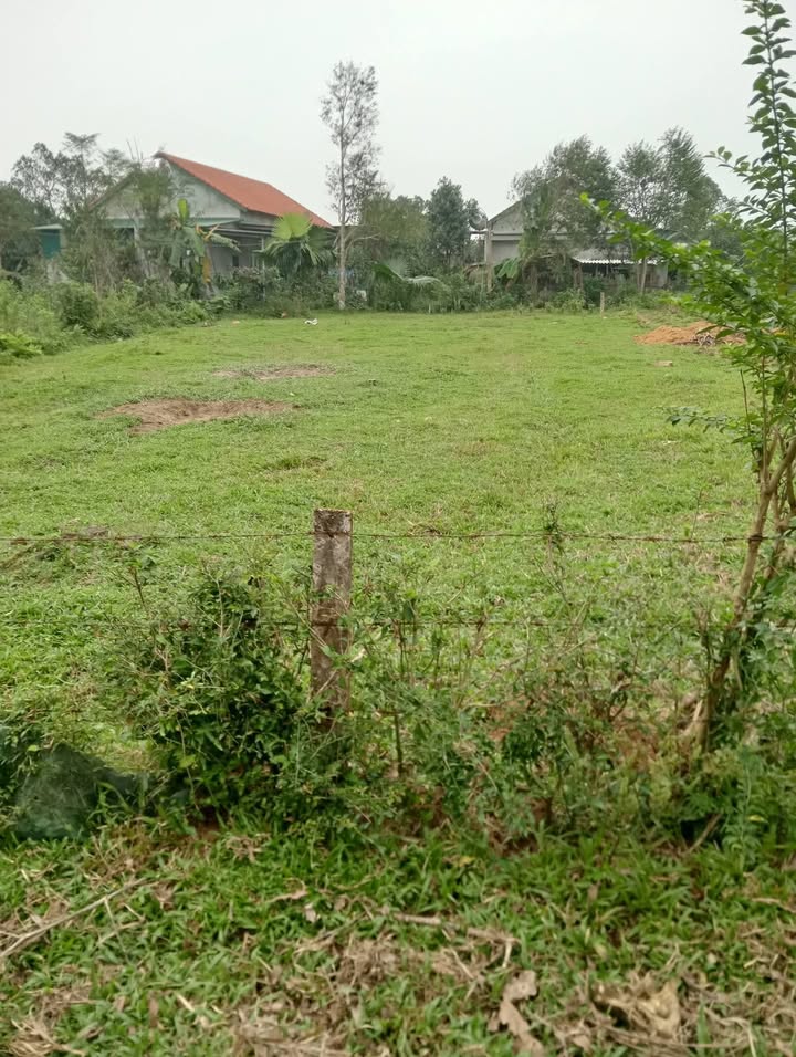 Đất nền Hương Xuân 280m² giá 300 triệu - Sổ hồng trao tay ngay!