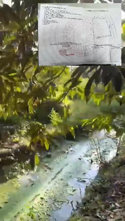 Đất nền Phú An, Cai Lậy, 2600m² giá 700 triệu - Sổ hồng chính chủ!