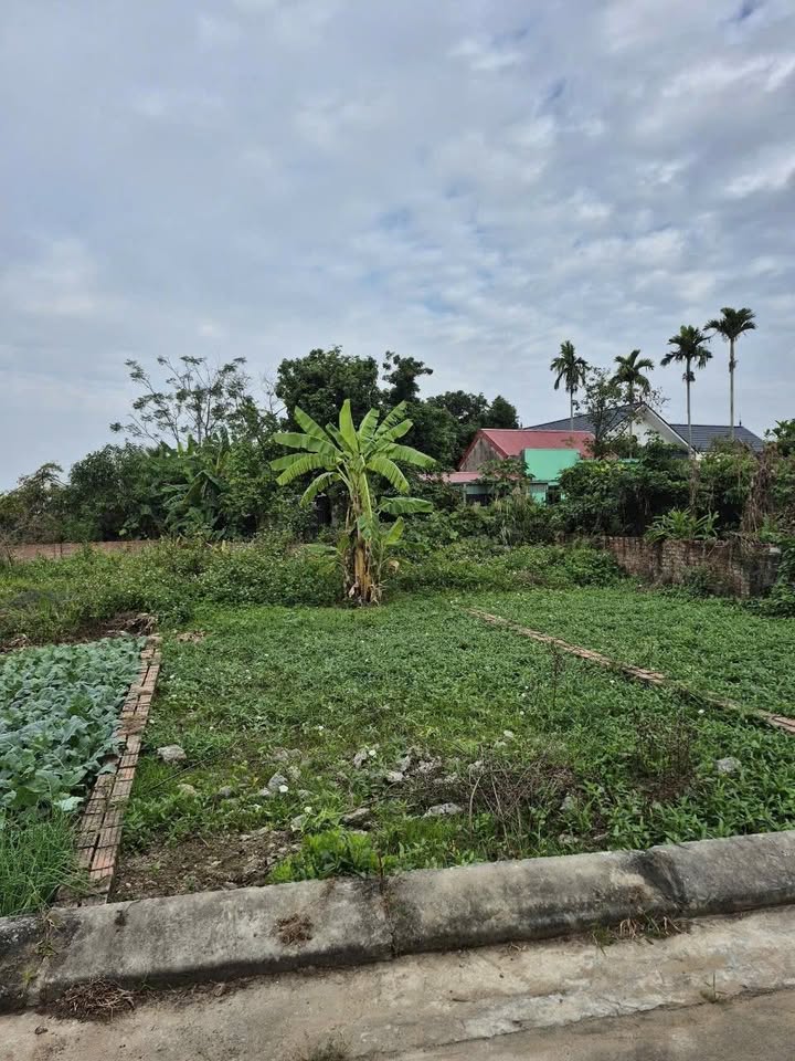 Đất nền Phù Liễn, Kiến An 55m² giá chỉ 1,5 tỷ - Cơ hội đầu tư hấp dẫn!