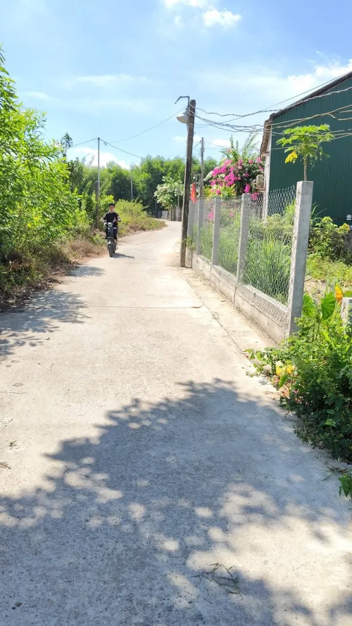 Đất nền thôn Trung An, xã Bình Thạnh, huyện Bình Sơn, Quảng Ngãi 156m² giá 400 triệu - Đường ô tô thông thoáng!