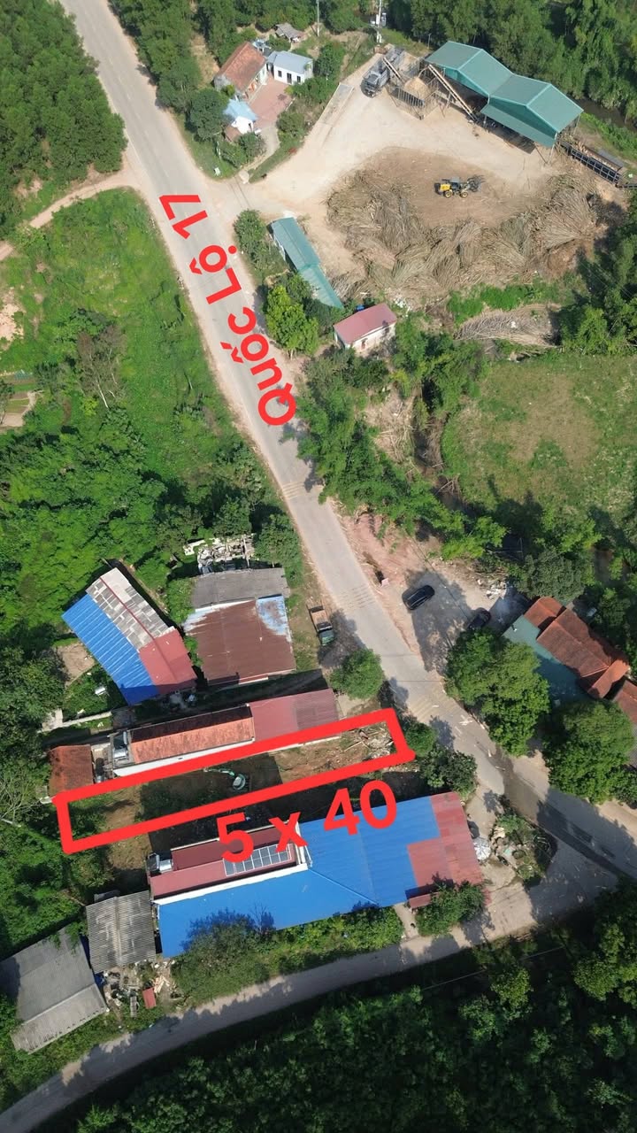 Đất nền chính chủ tại Quốc lộ 17, Tam Tiến, Yên Thế, 191m² - Cơ hội đầu tư hấp dẫn!