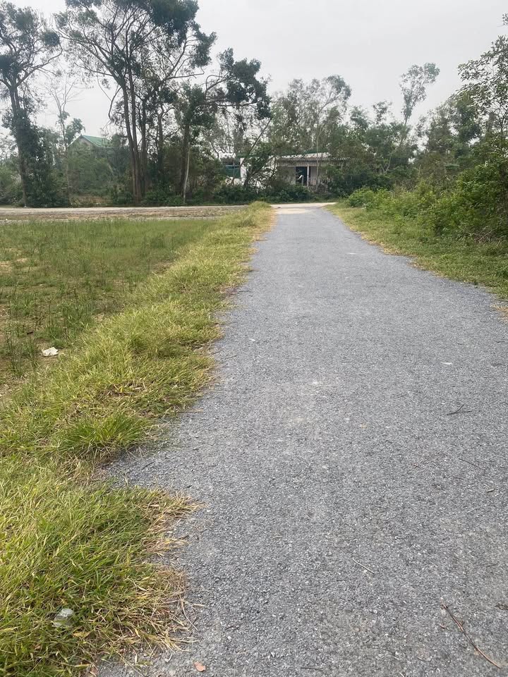 Đất nền Nghi Thái 95m² giá 1.2 tỷ - Sở hữu ngay vị trí đắc địa!