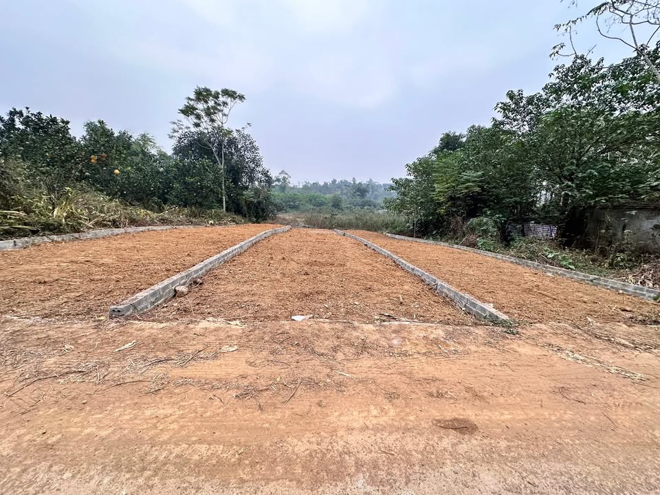 Đất đẹp tại Phú Cát, Quốc Oai 468m² - Pháp lý rõ ràng, đầu tư sinh lời!