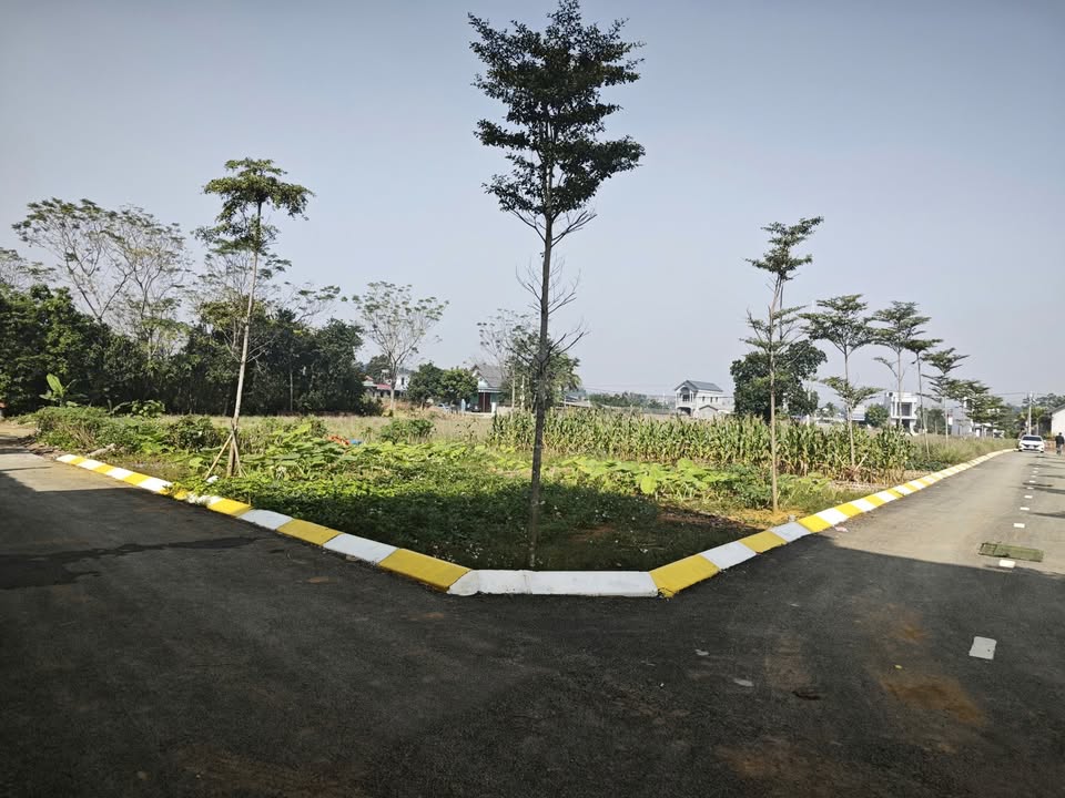 Đất thổ cư 100m² đường DH09, Phú Cát, Quốc Oai - Giá chỉ 2.5 tỷ, cơ hội đầu tư hấp dẫn!