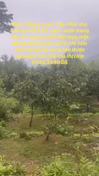 Đất vườn bưởi Phúc Khánh, Yên Lập, Phú Thọ 8.6ha giá 3 tỷ - Sổ hồng chính chủ sang tên ngay!